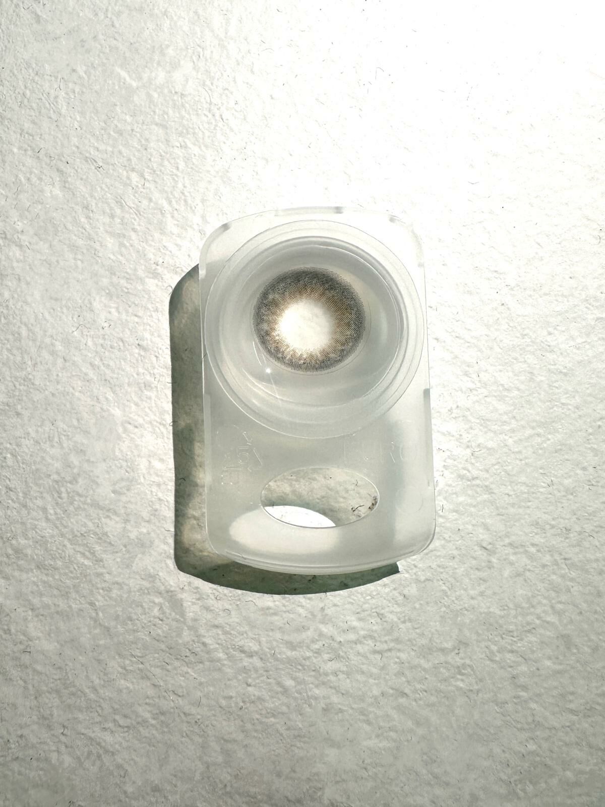 1Day BETON Color Cons（1盒）（預購產品）