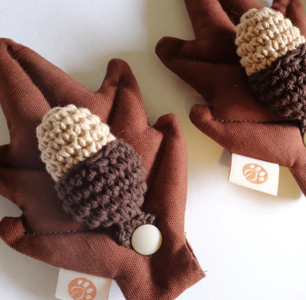 Hikoinu -  橡實葉