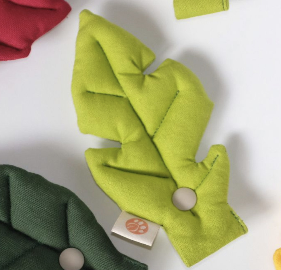 Hikoinu -  淺綠葉