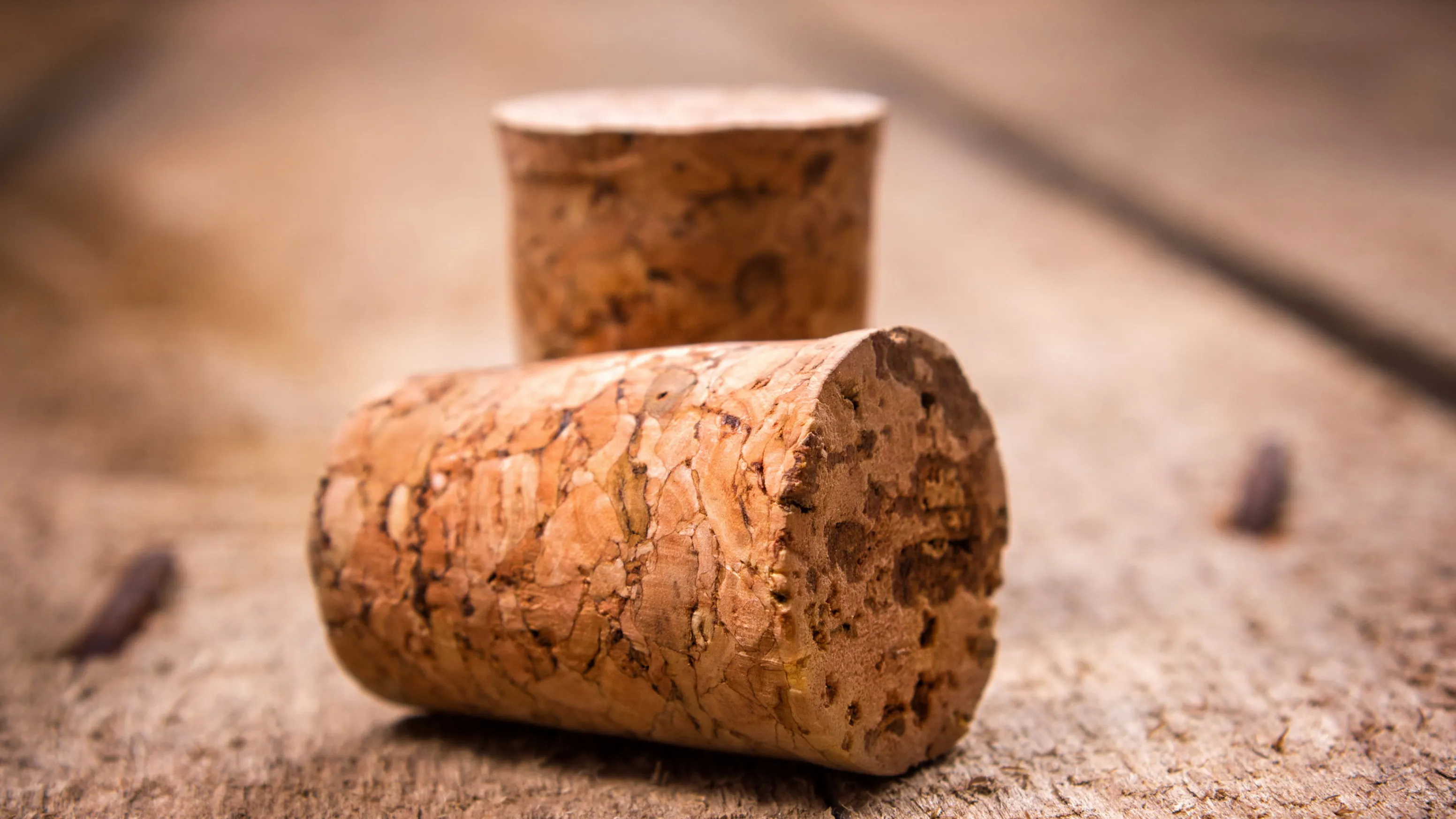酒塞(corks)從何而來?| Wine Couple 醇酒伴侶