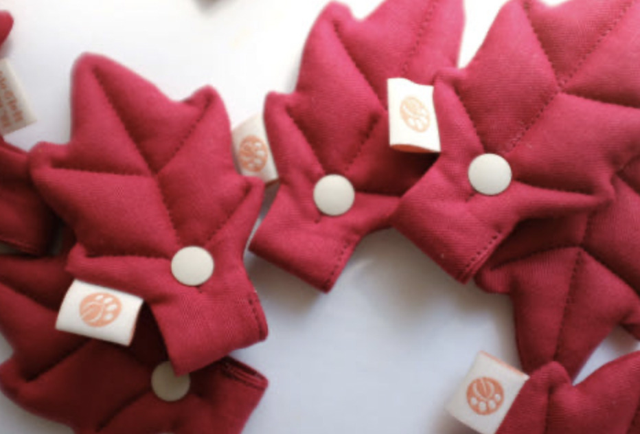 Hikoinu -  深紅葉