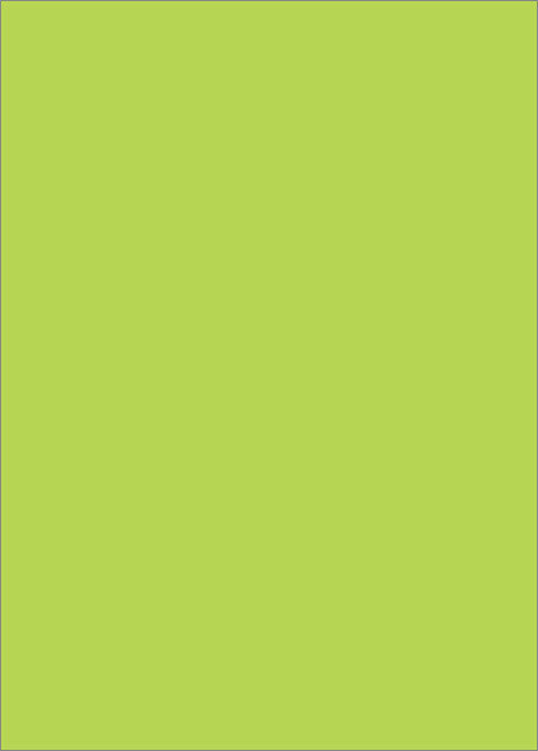 BROCCOLI's Shuffle Master 標準尺寸卡套 - Lime Green - BSM-05