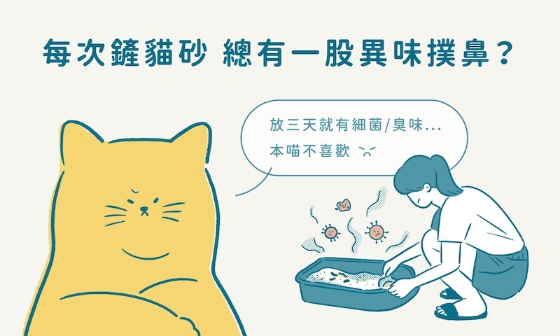 貓砂 除臭,貓砂 臭味,貓砂 除臭噴霧,貓砂 臭味