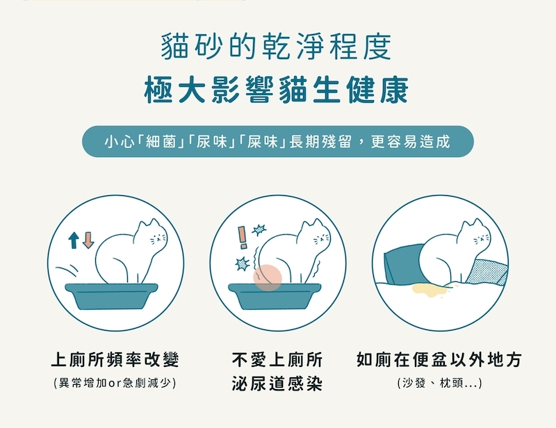 貓砂 泌尿道,貓 泌尿道,PetWow貓砂除臭粉