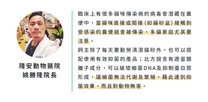 獸醫推薦 Petwow 貓砂 除臭粉