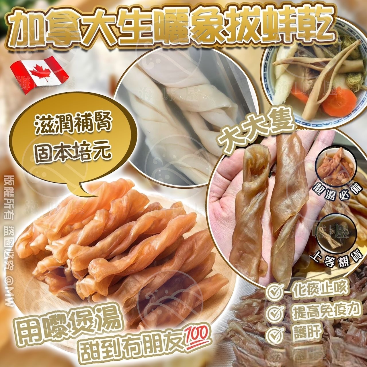 H16316 加拿大生曬特大象拔蚌乾（L)  (200g約15-20隻）