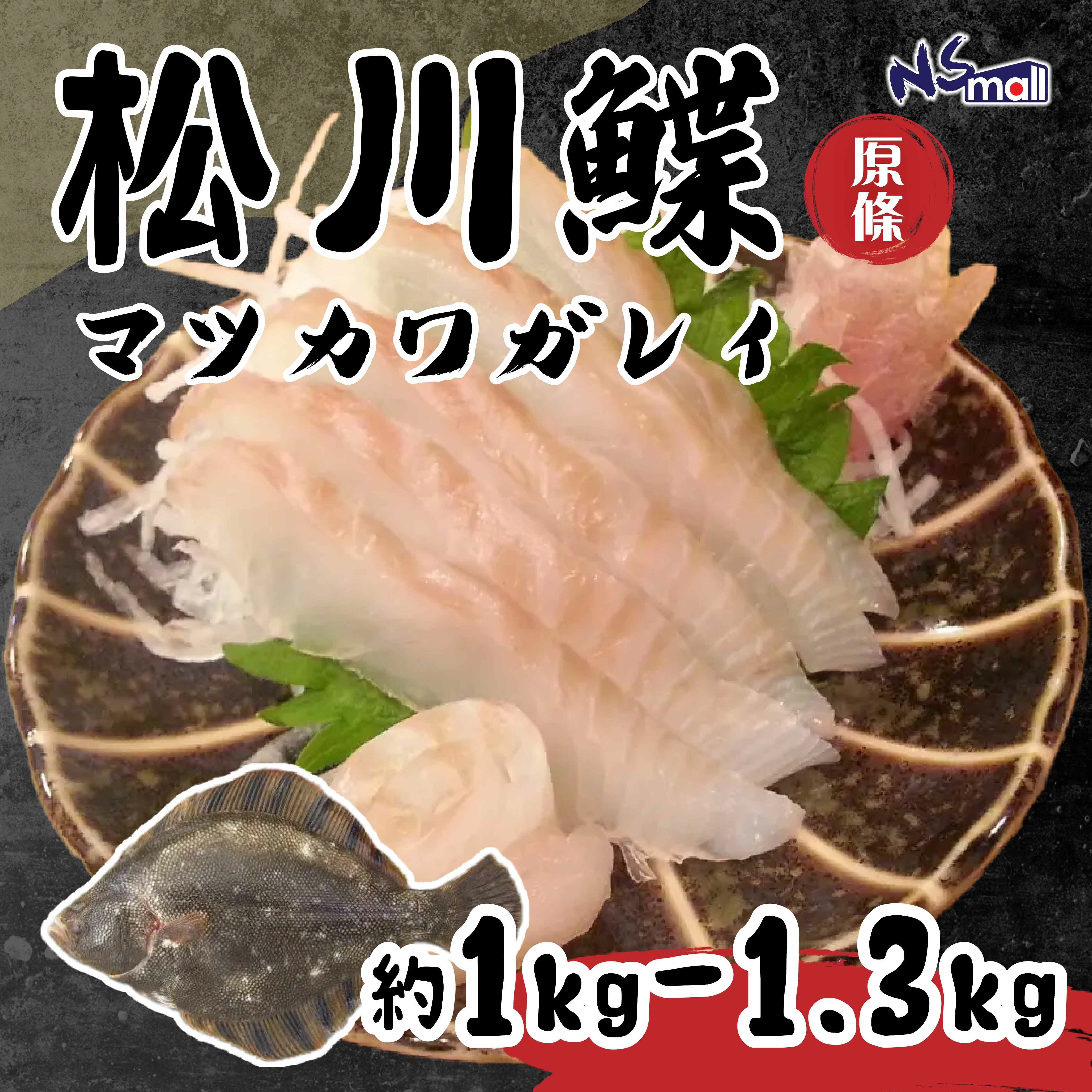 松川鰈 約1-1.3kg/條
