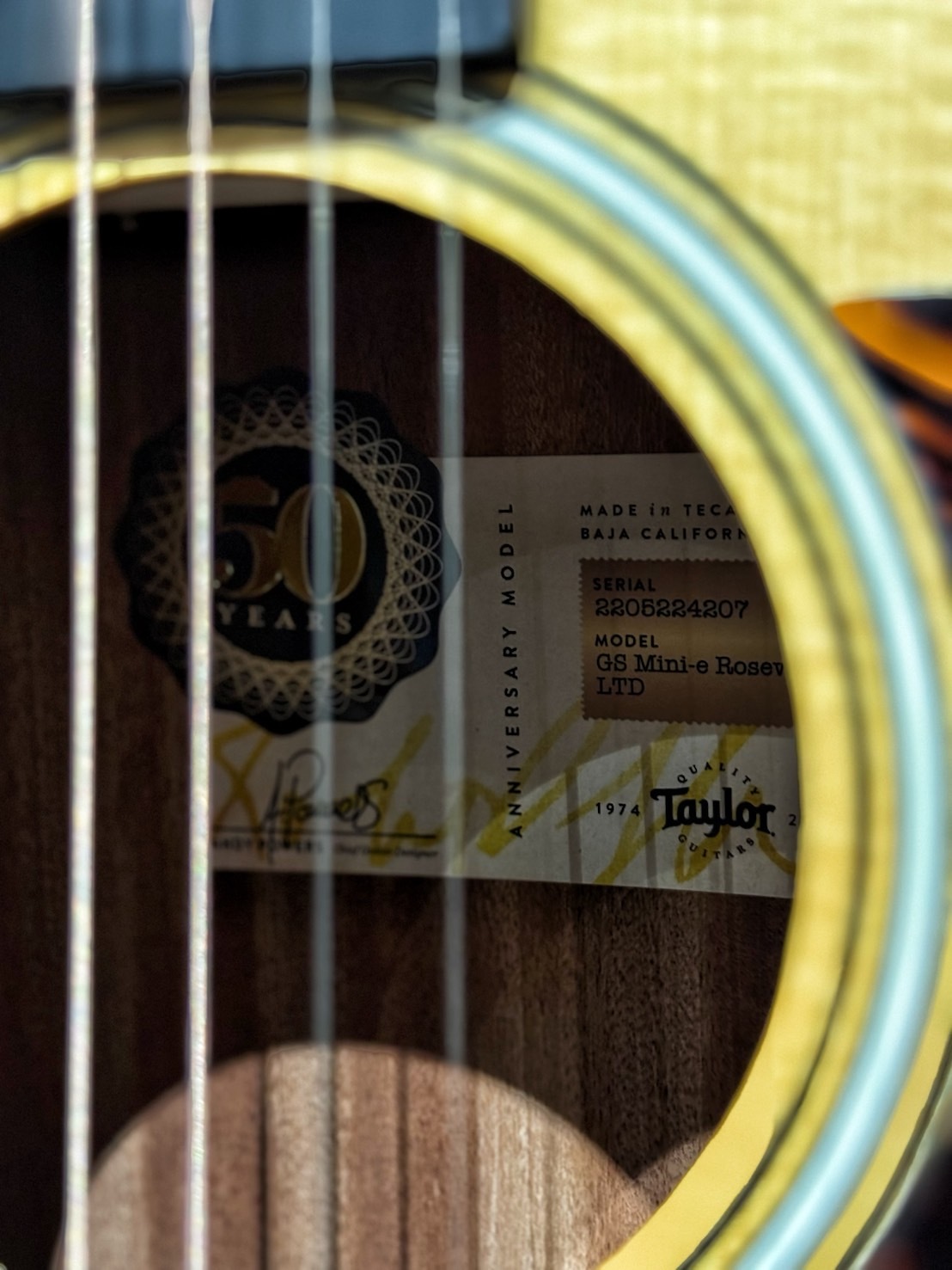 Taylor GS Mini-e 50周年限量款 Rosewood 限量旅行吉他 公司貨【宛伶樂器】