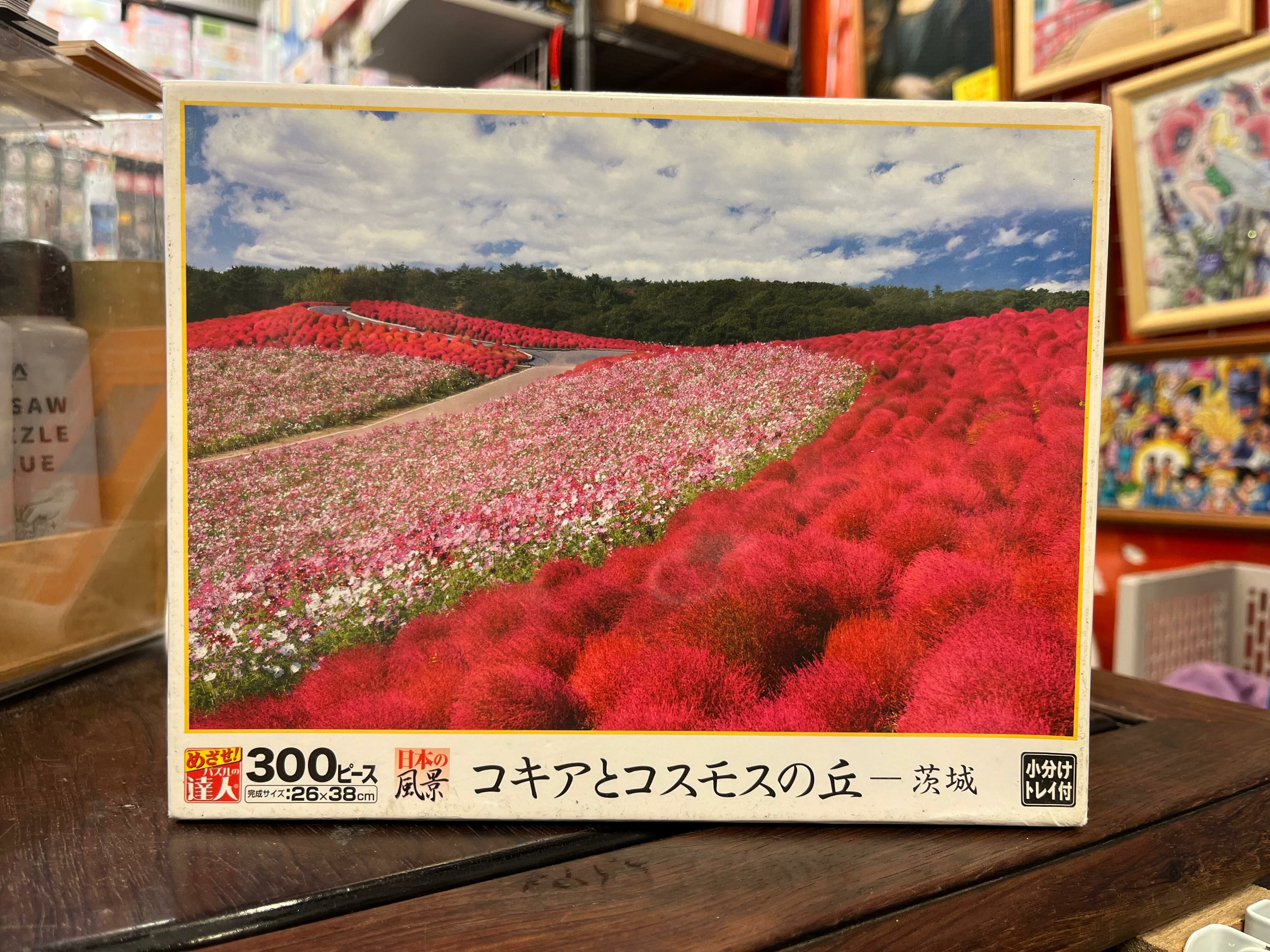 茨城縣-地膚和宇宙山 (絕版)