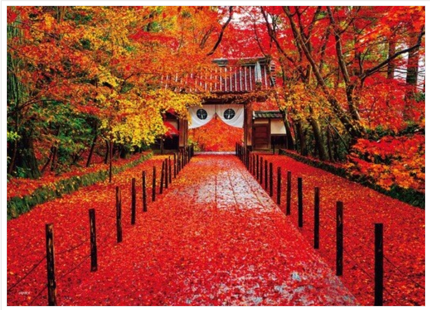 深秋的光明寺-京都