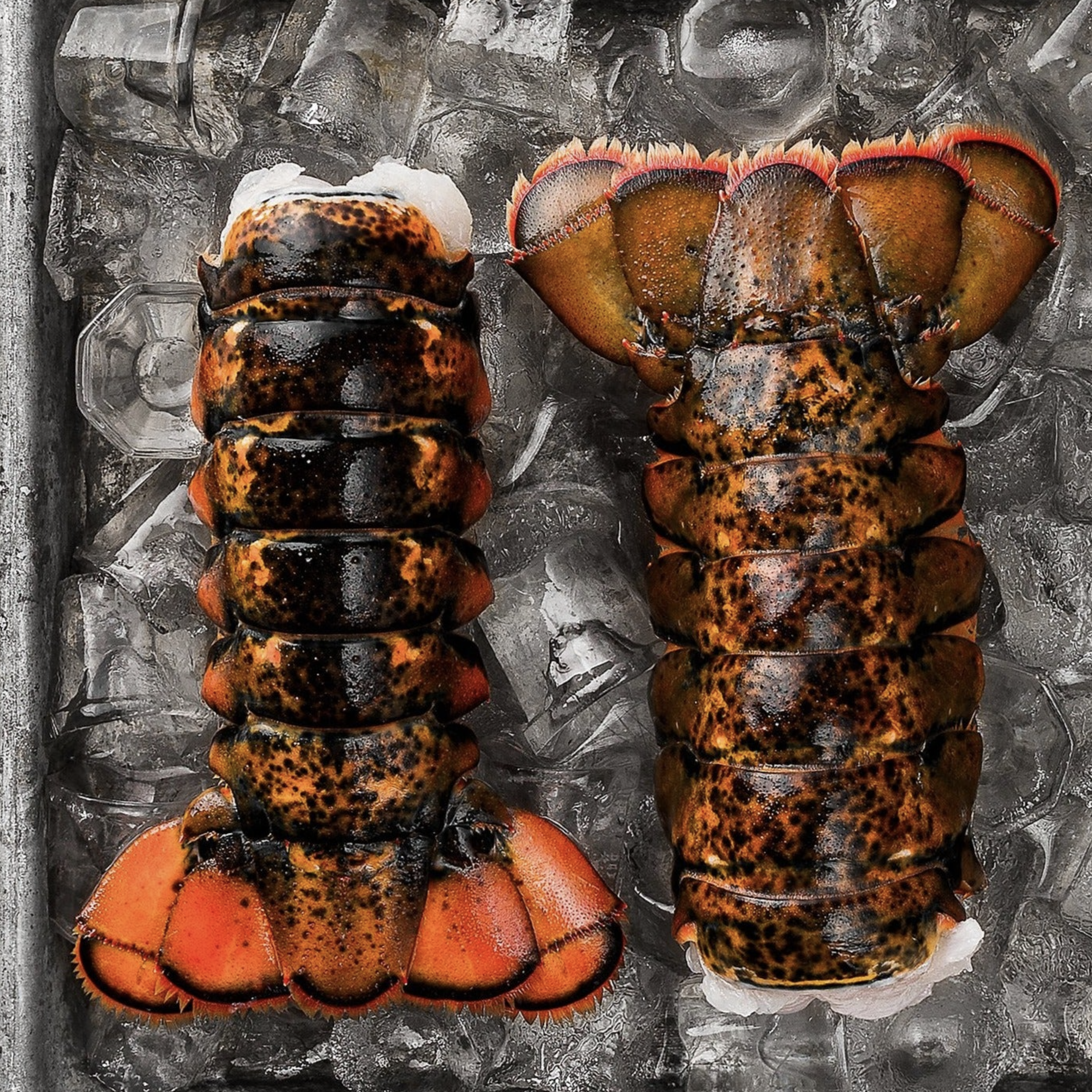 Canada Frozen Lobster Tail - 113.19g