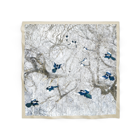 絲巾｜寒林喜鵲款