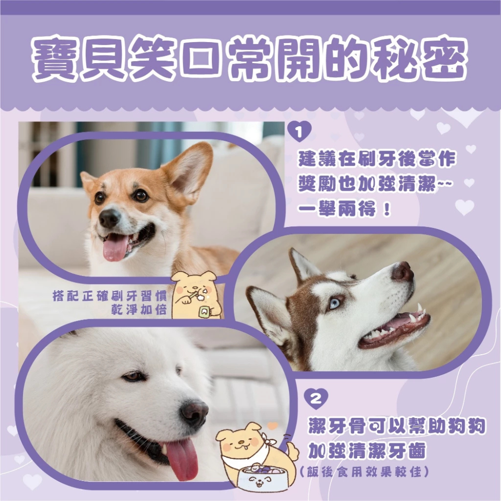 O,Bli 噢,比利｜韓國 犬用潔牙小點心 水果潔牙好棒棒 潔牙棒 300g