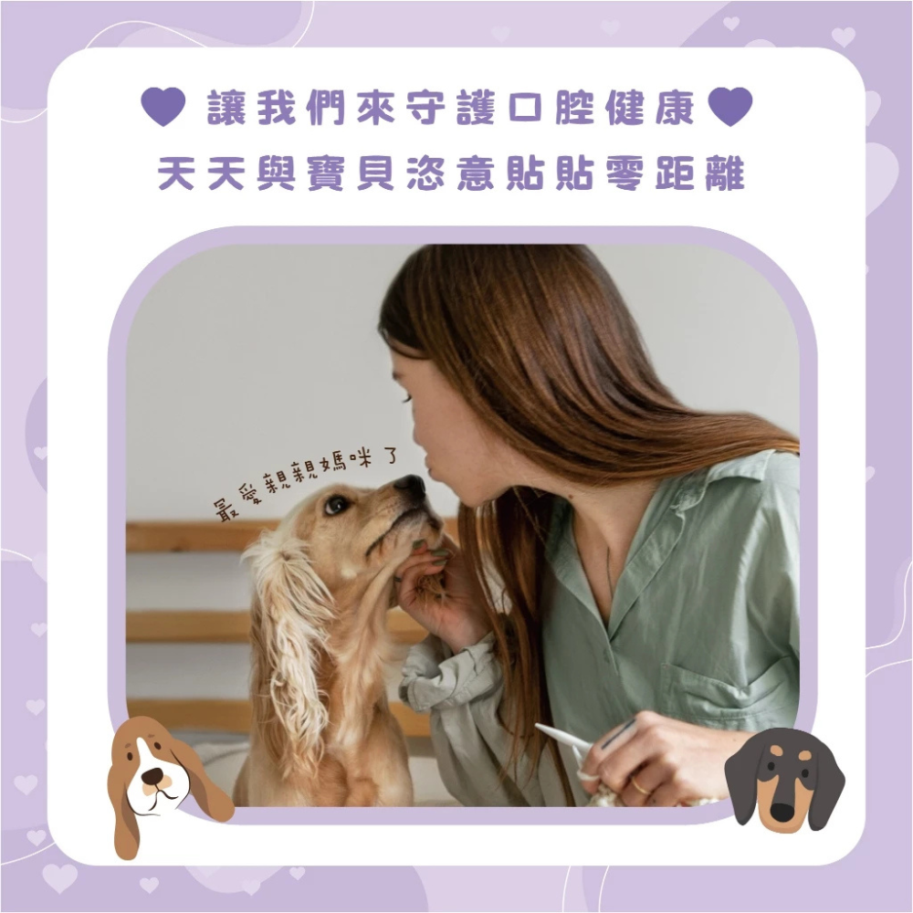 O,Bli 噢,比利｜韓國 犬用潔牙小點心 水果潔牙好棒棒 潔牙棒 300g