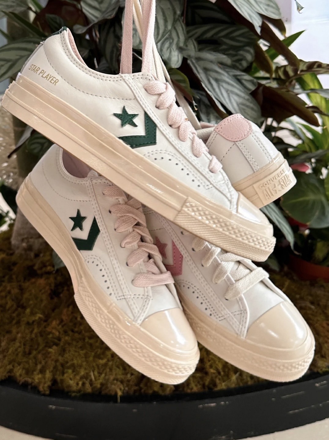 <極少量bug價!!> Converse Star Player 76 復古米白 綠 皮革