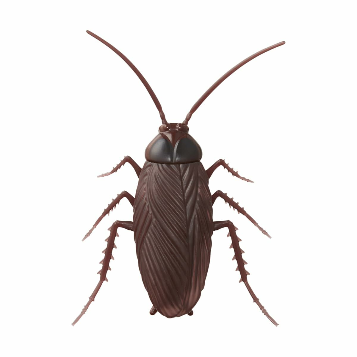 NYANTA CLUB 大驚~喜! Go Go Panic 曱甴趴趴走玩具 (LR44電池另售) CT-691