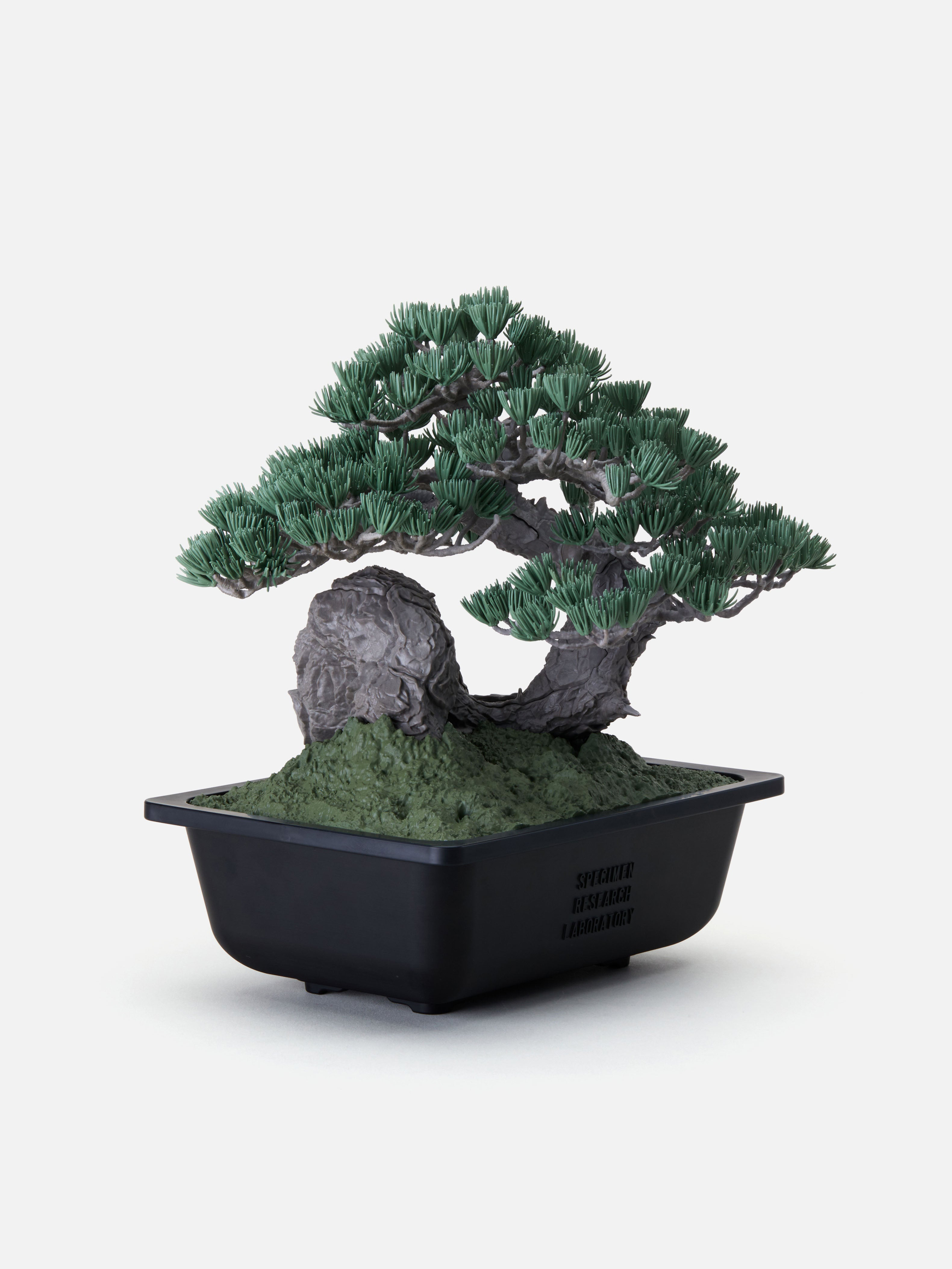 NEIGHBORHOOD SRL X BANDAI SPIRITS . BONSAI MODEL KIT 松柏