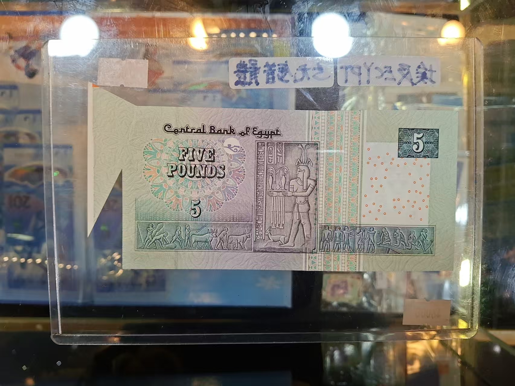 埃及ECYPT五元錯體