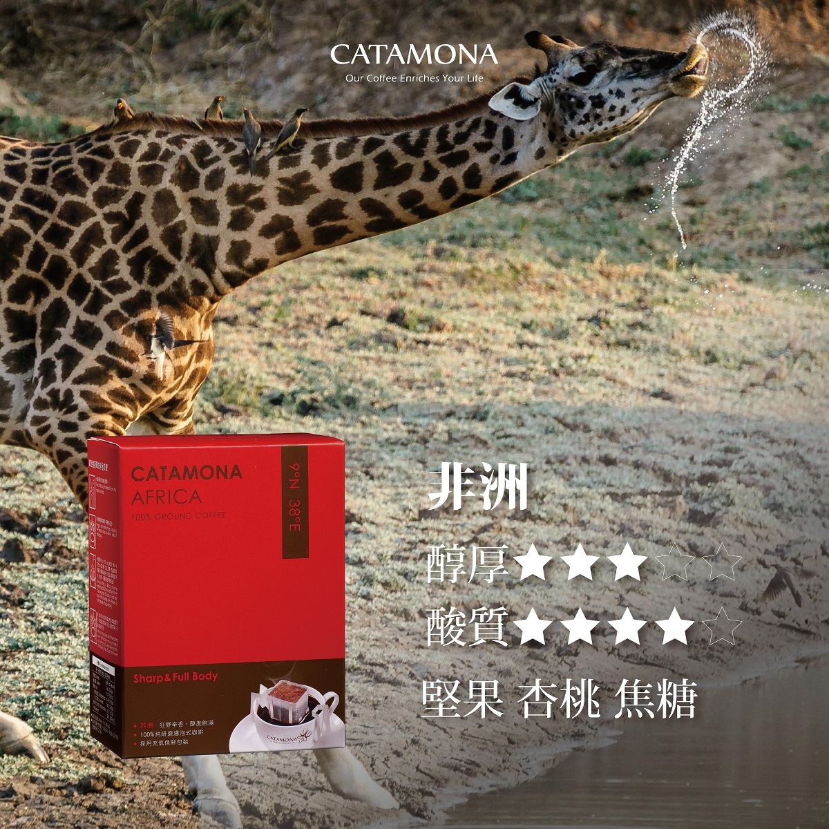 非洲濾掛式咖啡 盒裝(6入)