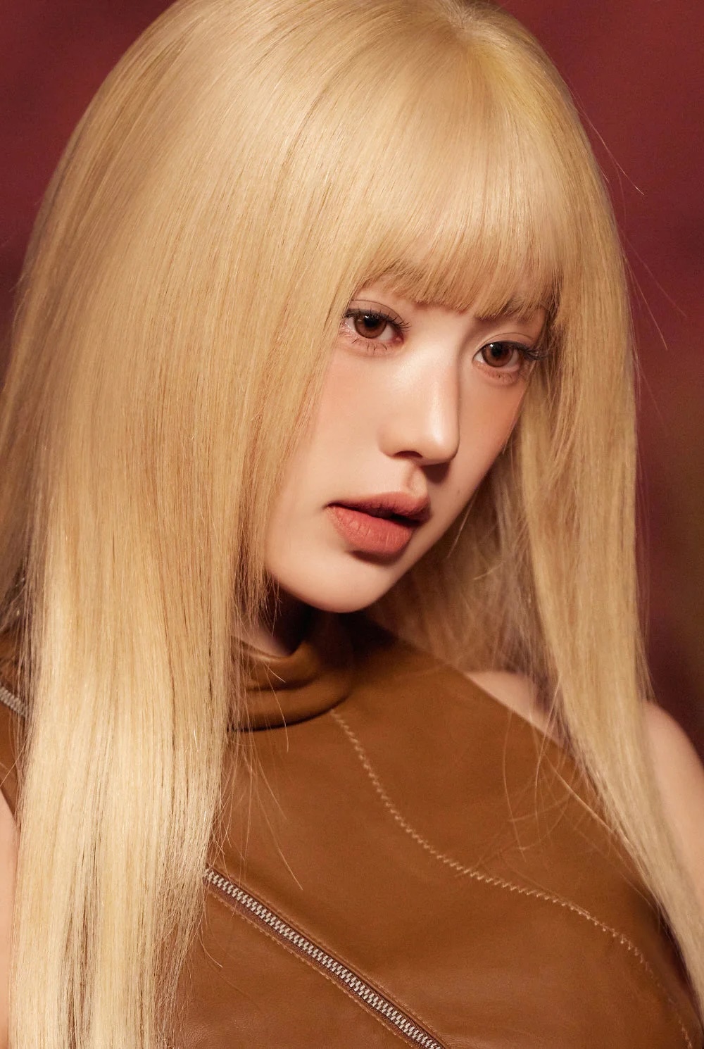 Cosmo Kristin 1 Day(Brown)(10片)