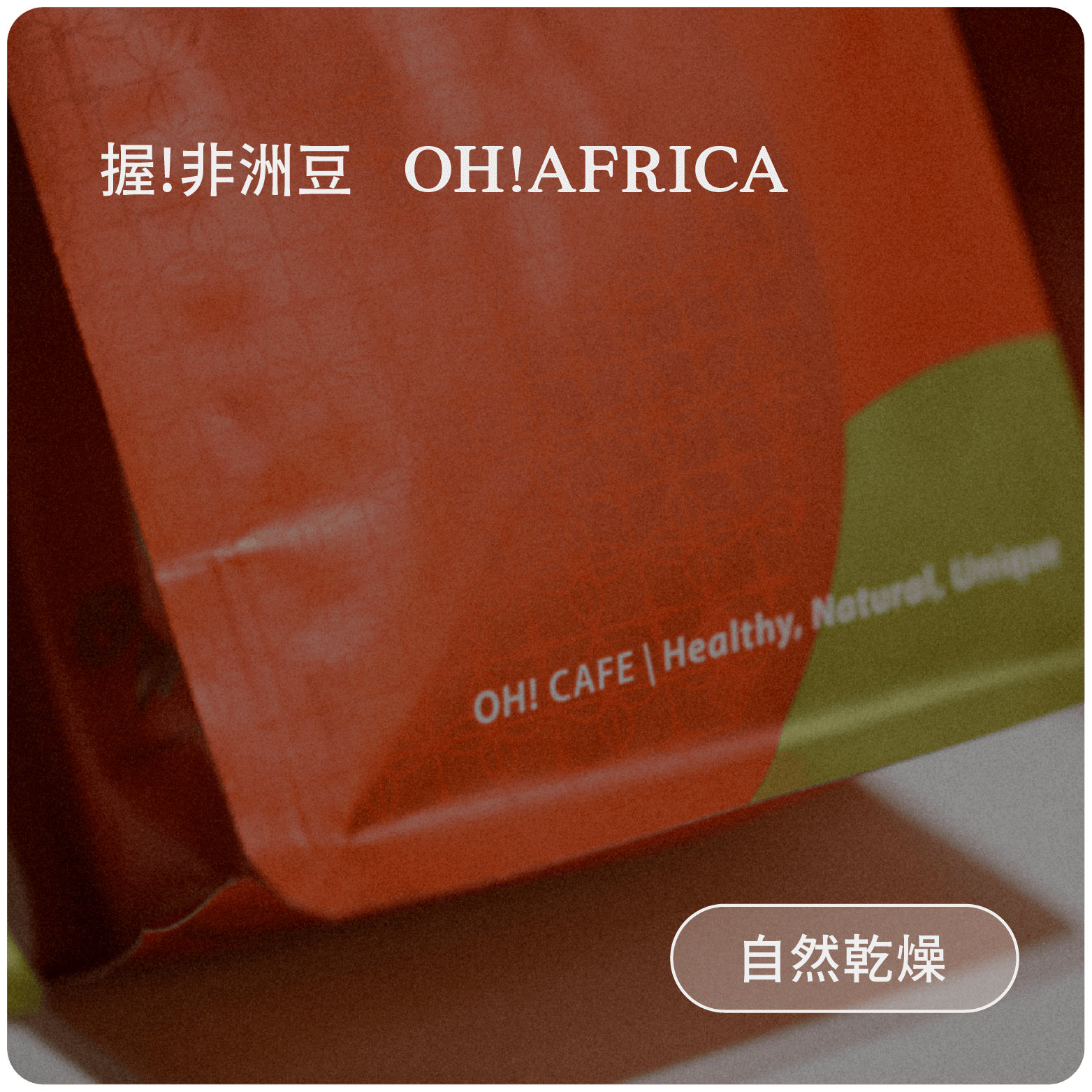 握!非洲豆 Oh!Africa