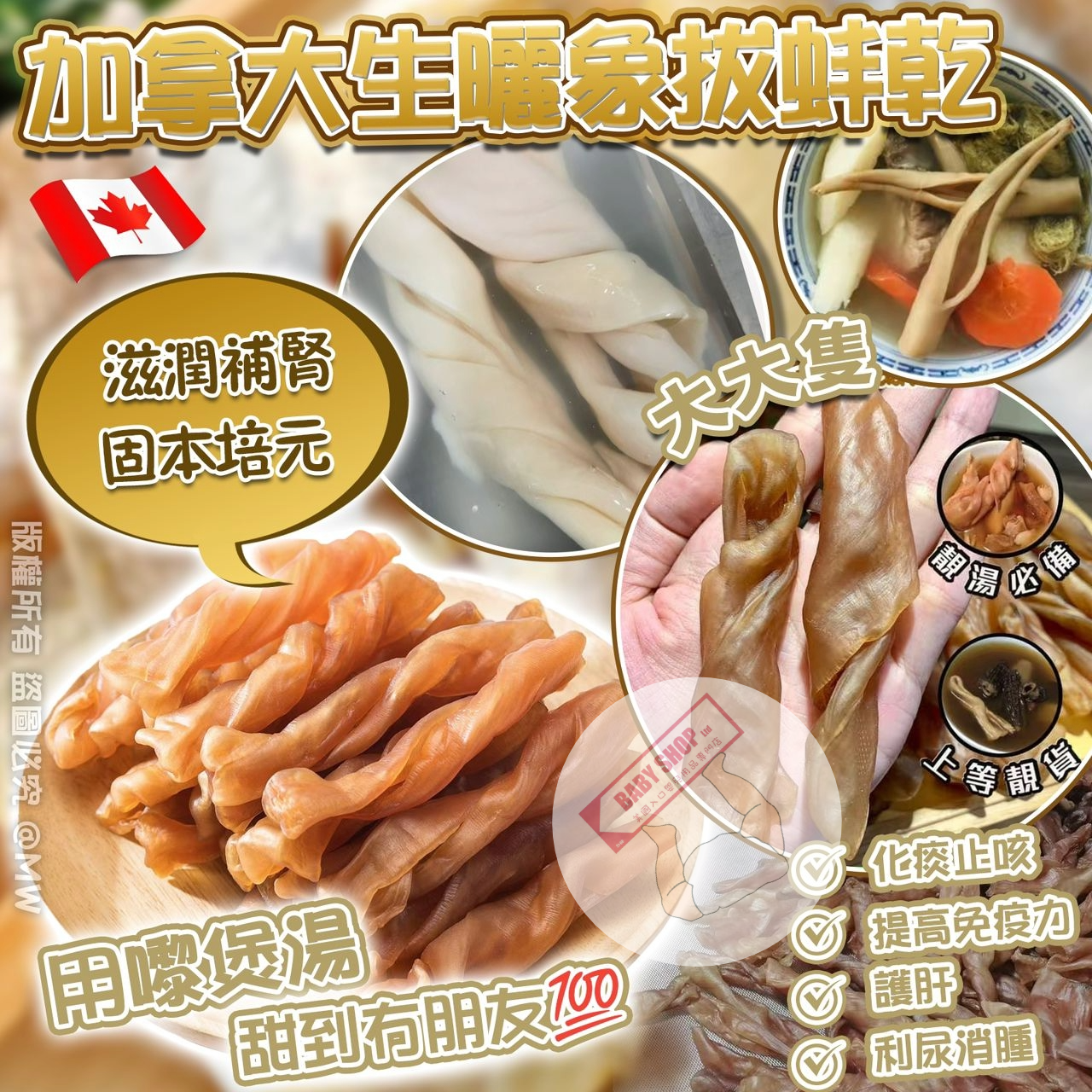 【現貨】A112102 加拿大生曬象拔蚌乾 (L) (200g約15-20隻)