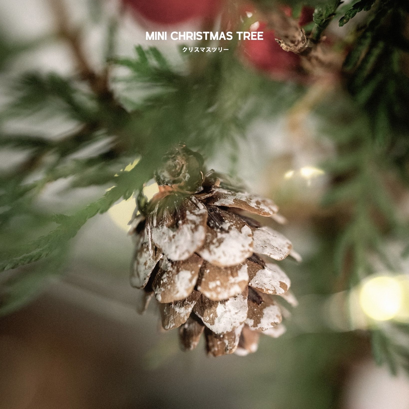 現貨 — B款迷你聖誕松
