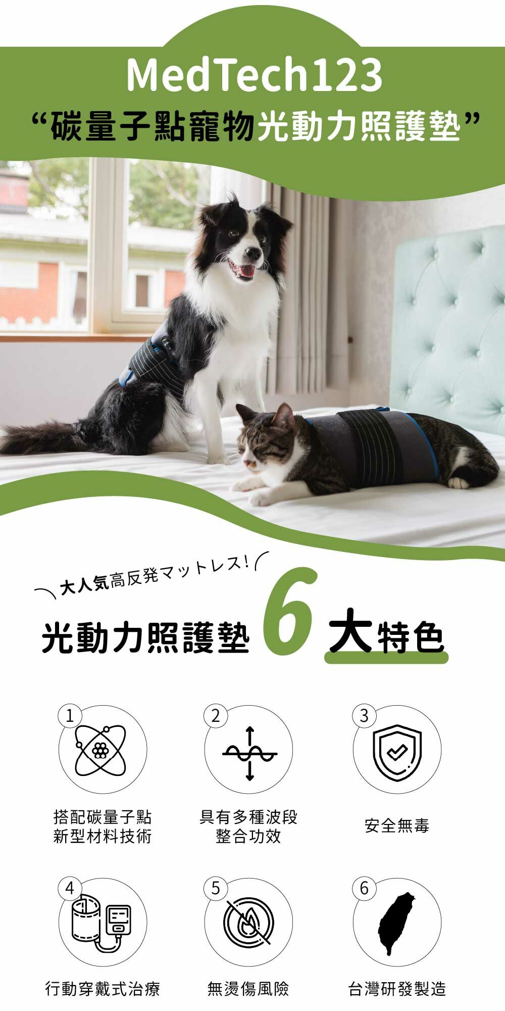 寵物 治療墊,寵物 照護,寵物 治療床,Medtech123 寵物治療床