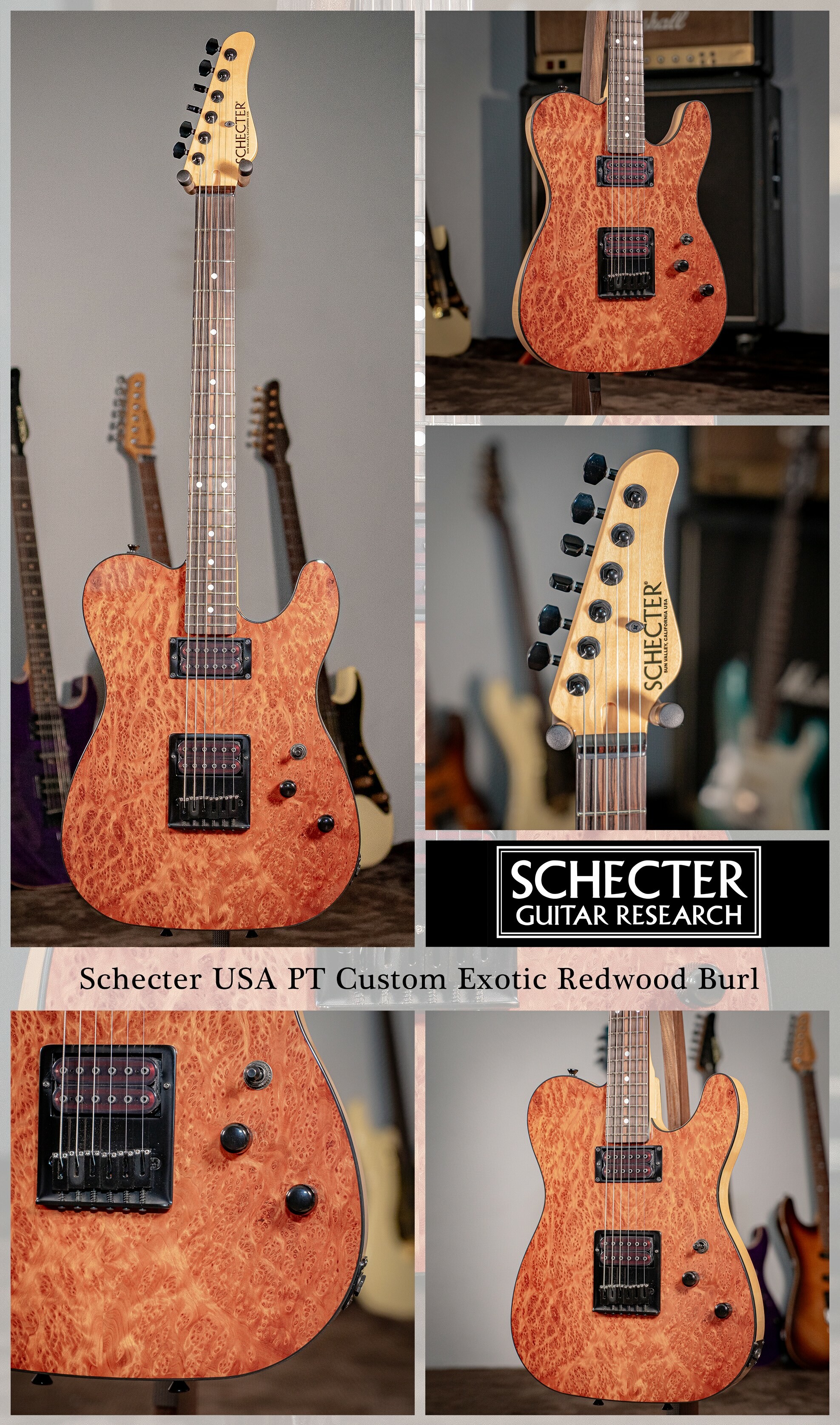 又昇樂器. 音響】Schecter USA PT Custom EXOTIC Redwood Burl S