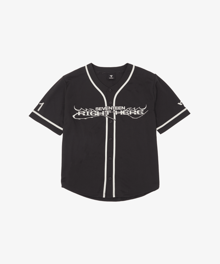 韓代頑童-SEVENTEEN [RIGHT HERE] WORLD TOUR IN JAPAN 官方周邊