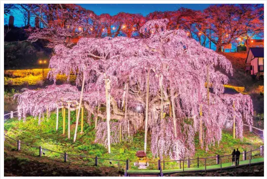 三春瀑布佐倉福島