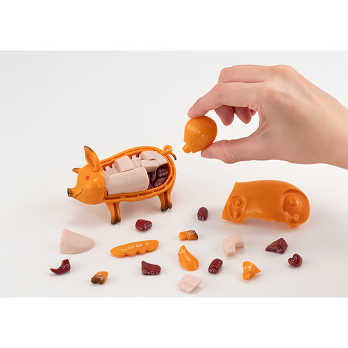 [解體拼圖][動物系列]燒全豬