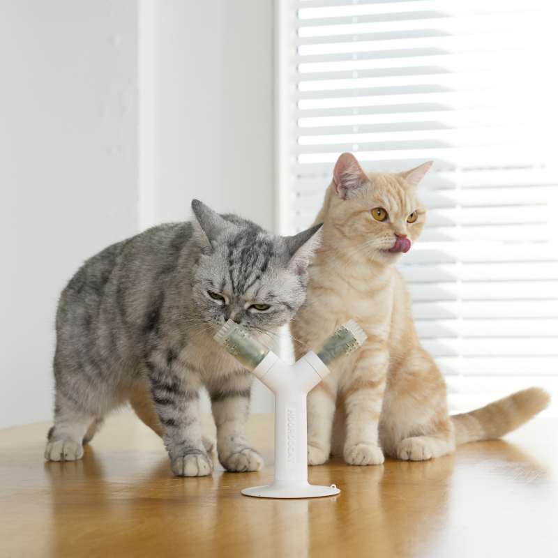 HooRoo Cat 呼嚕不倒樹