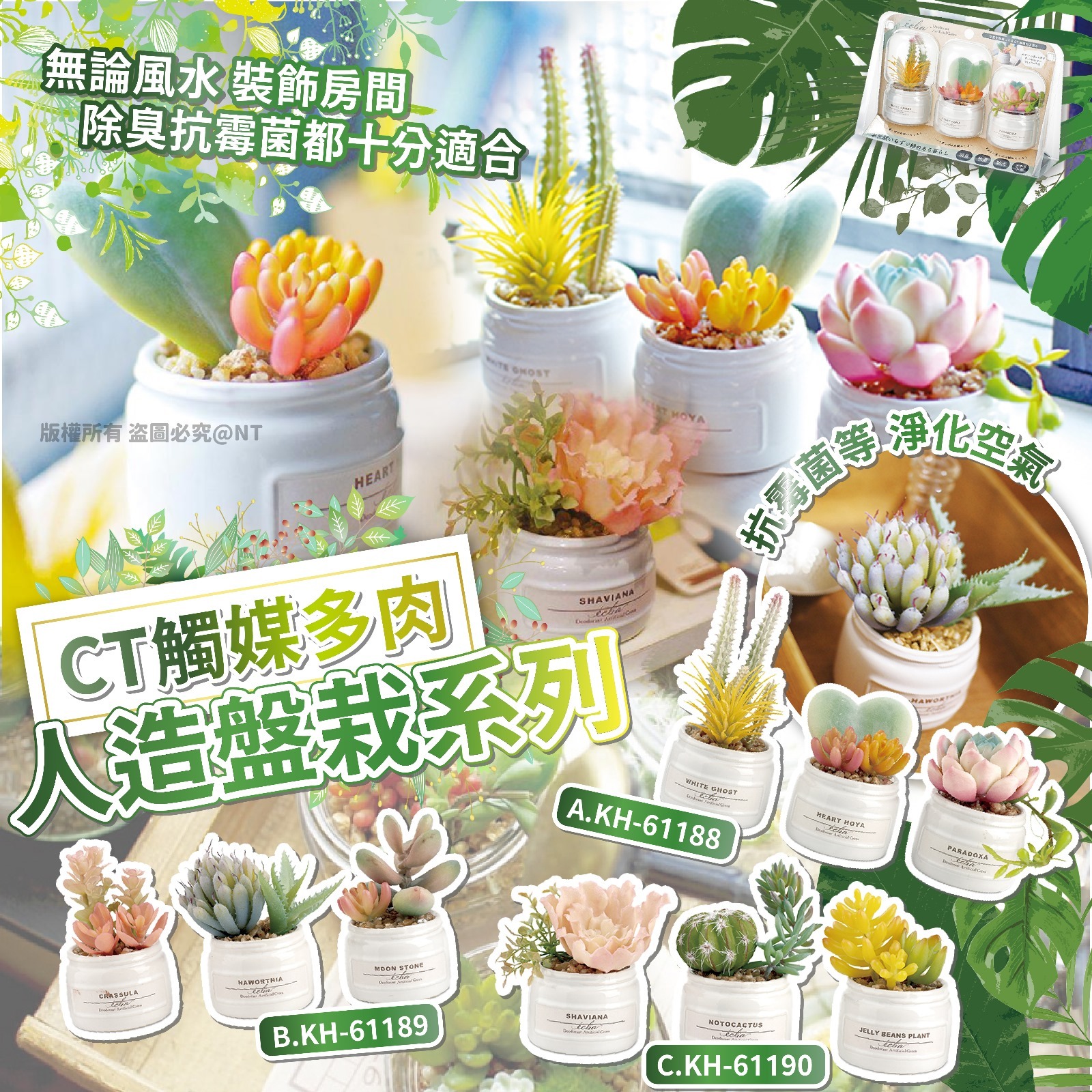 【預訂】AN2204 CT觸媒多肉人造盤栽系列 (一套三件)