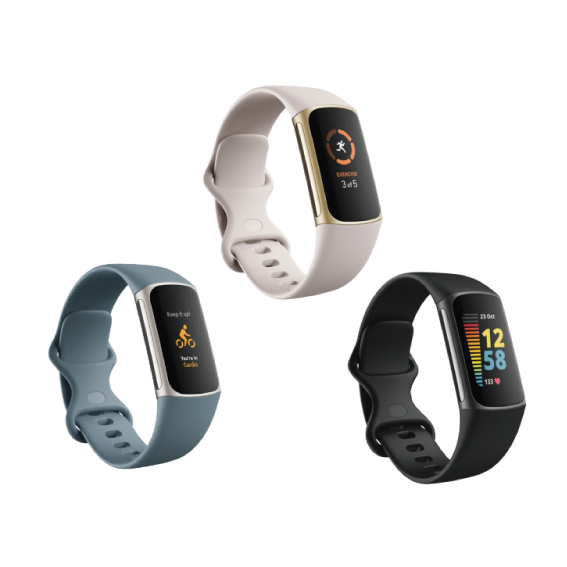 Fitbit Charge 5 健康智能手環<平行進口>