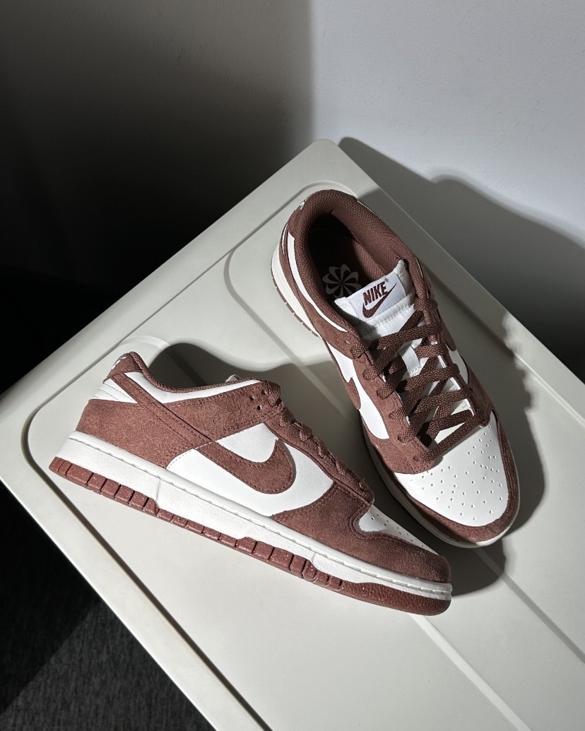 Nike Dunk 美拉德色系 經典百搭 麂皮 低幫 板鞋 男女同款 白褐色 HJ7673-001