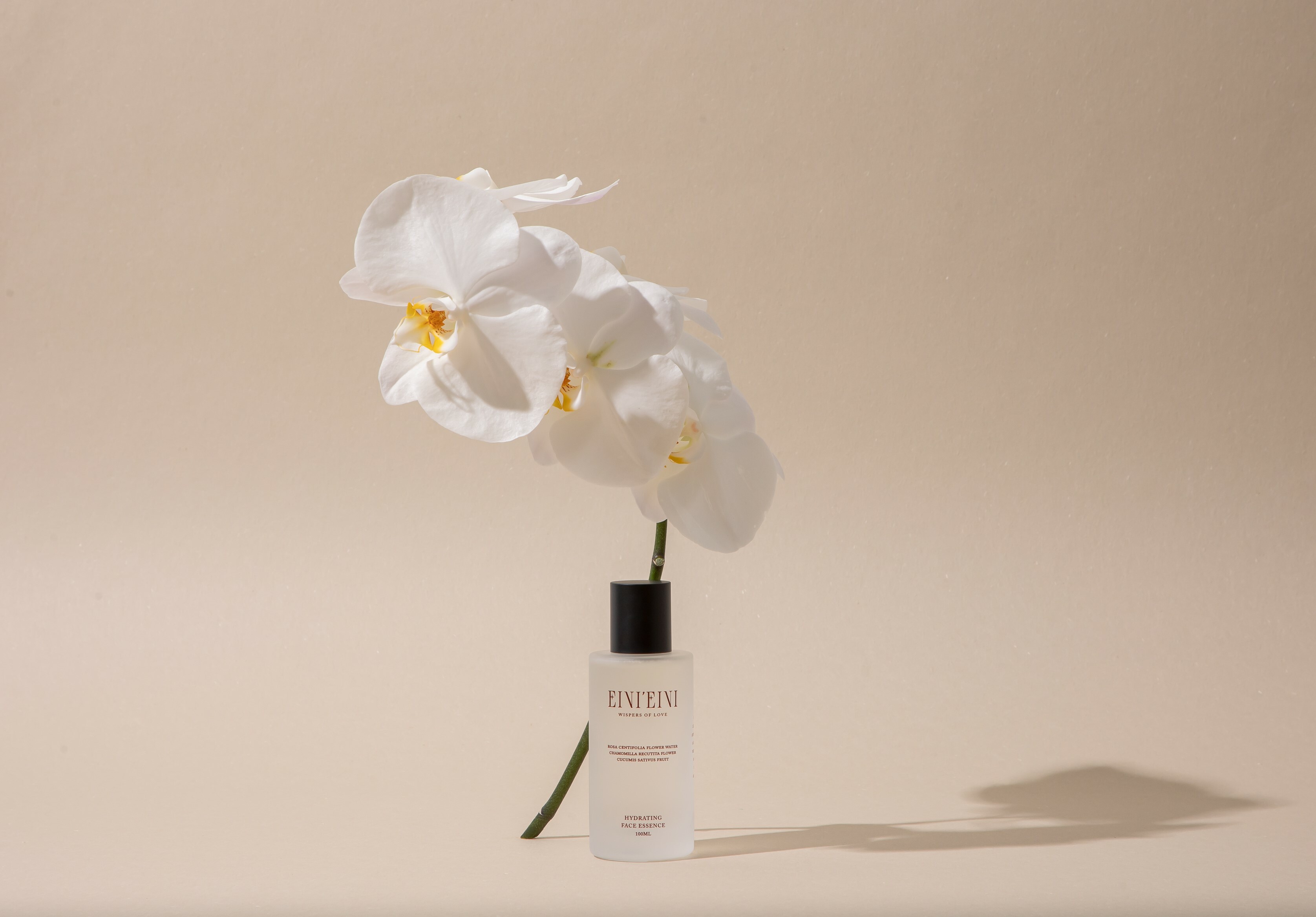 松露健康化妝水以精華水的保養概念做出發 含高貴松露、法國褐藻、日本香柚果萃取等多種滋潤修護因子