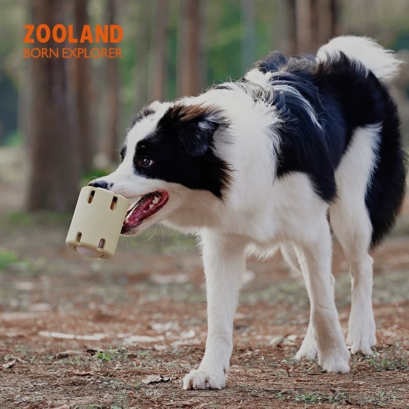 ZOOLAND宠物益智玩具 天然橡胶无毒无味