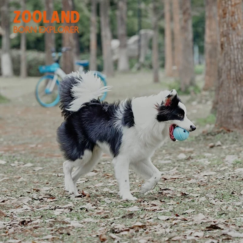 ZOOLAND宠物发声益智玩具