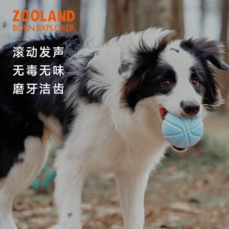 ZOOLAND宠物发声益智玩具