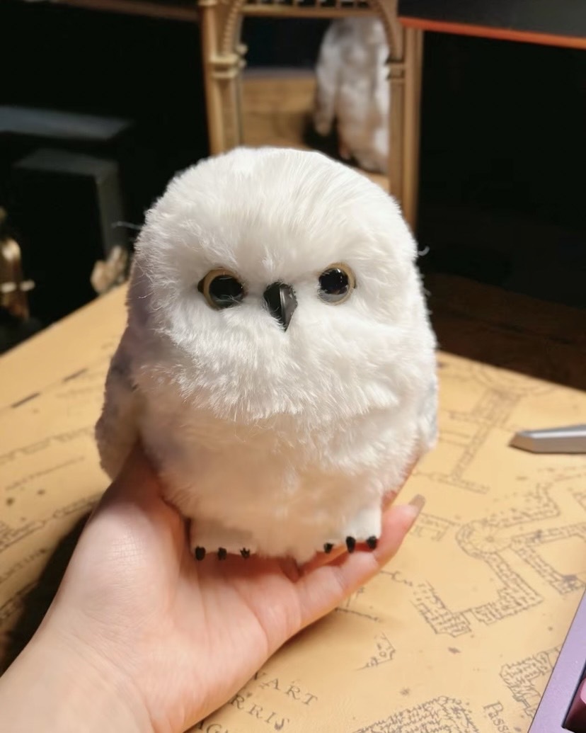 北京環球影城限定🌍 Harry Potter 哈利波特 貓頭鷹海德薇 可互動 玩偶 毛絨公仔