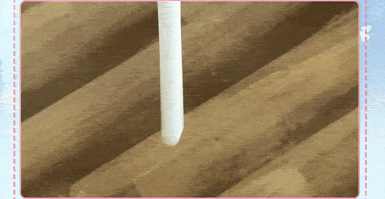 GXP|飛機杯專用高分子纖維吸水棒