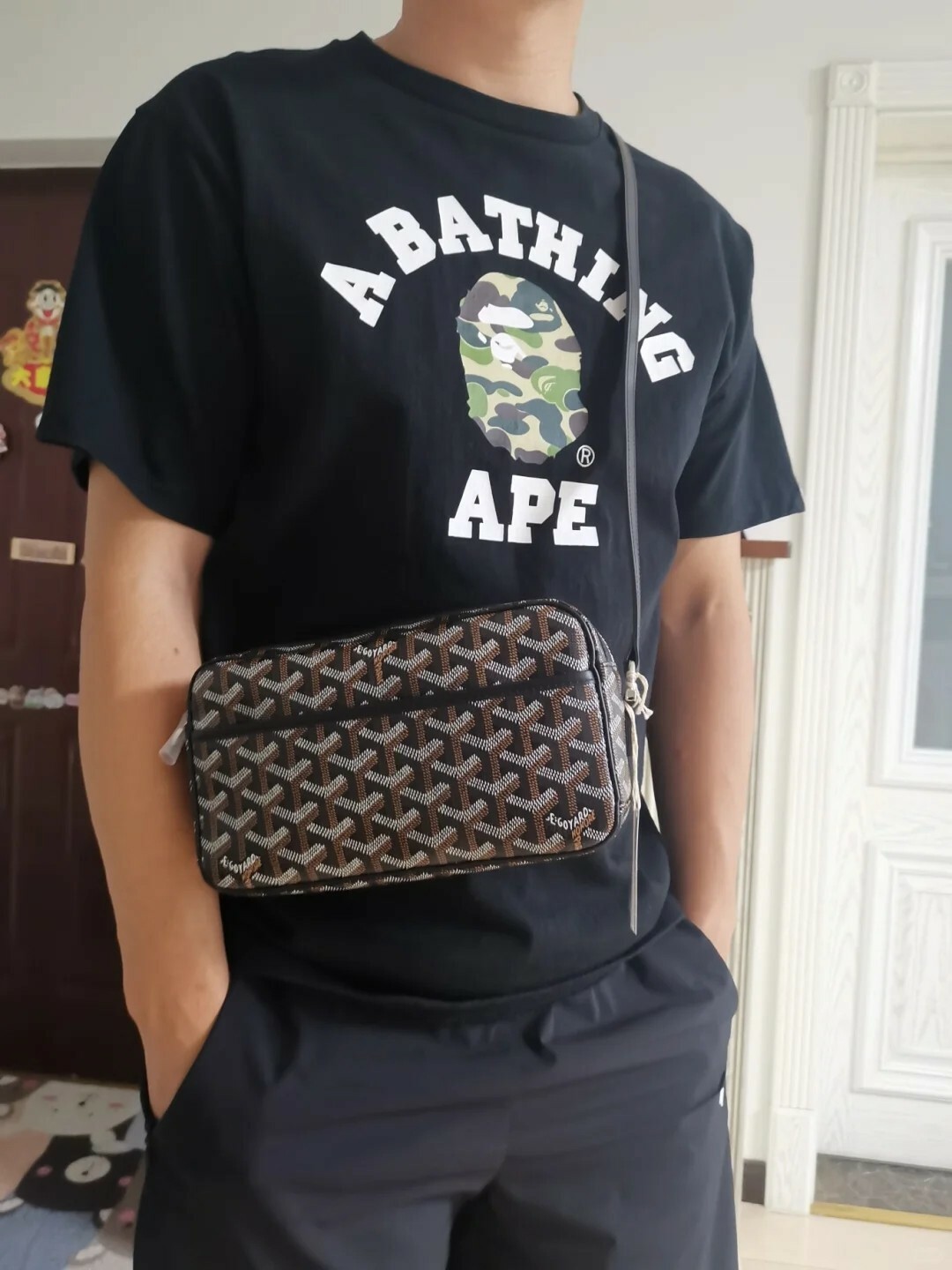 Goyard CAP-VERT 相機包