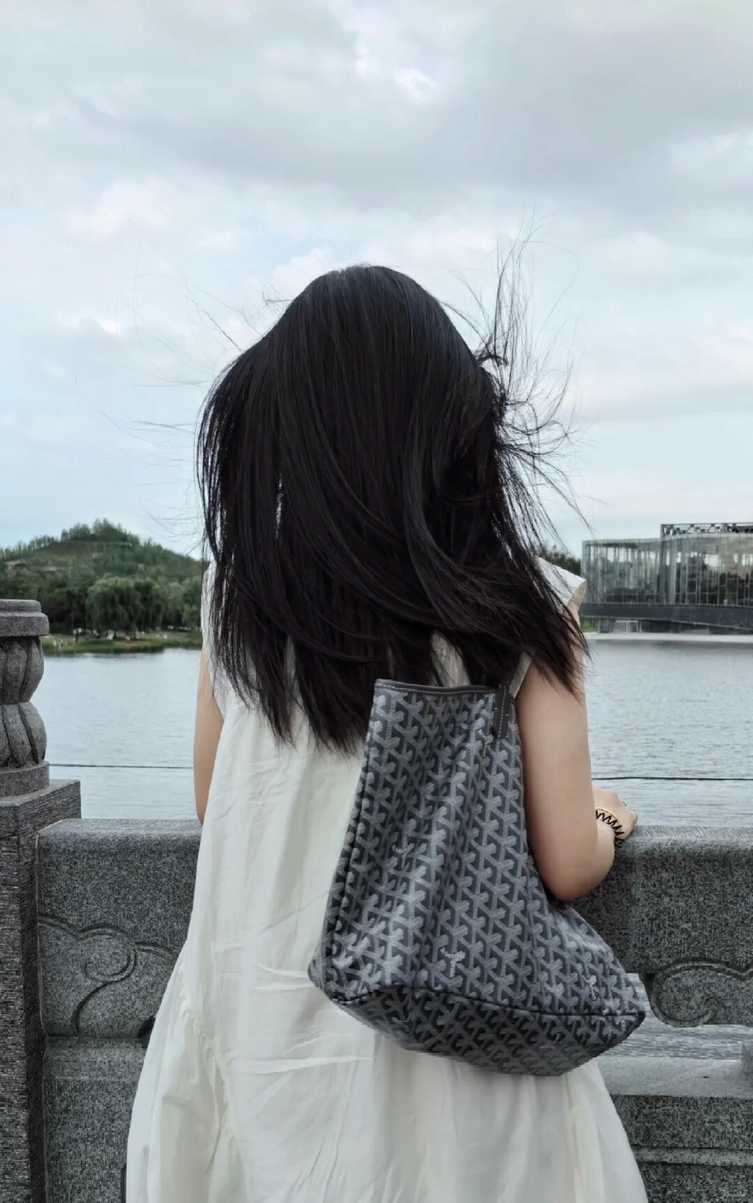 Goyard SAINT LOUIS tote PM  小號 托特包