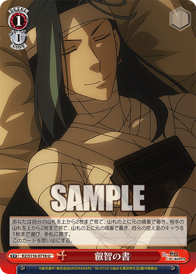 【RZ/S116-071b U】叡智の書