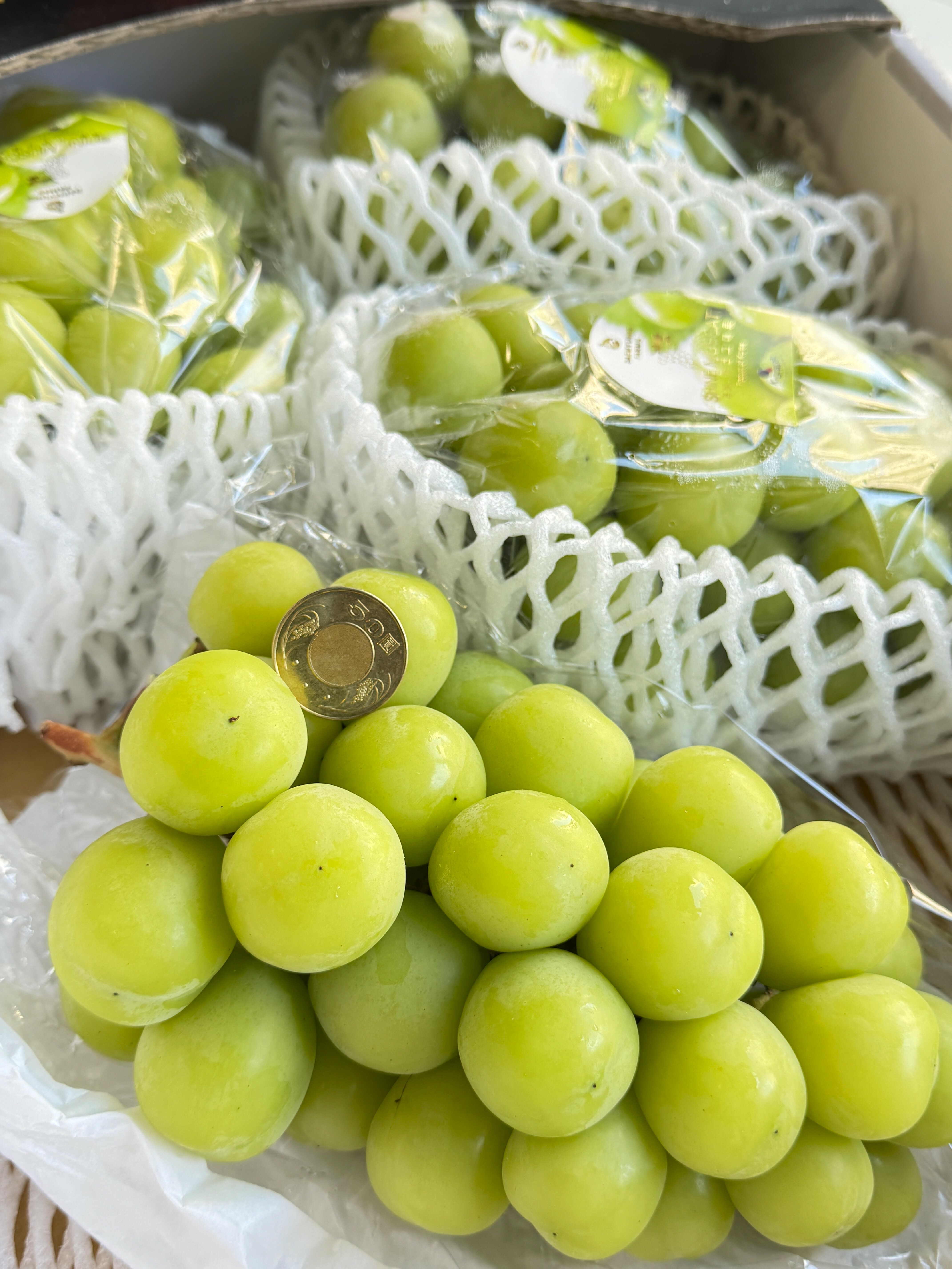 韓國進口麝香葡萄