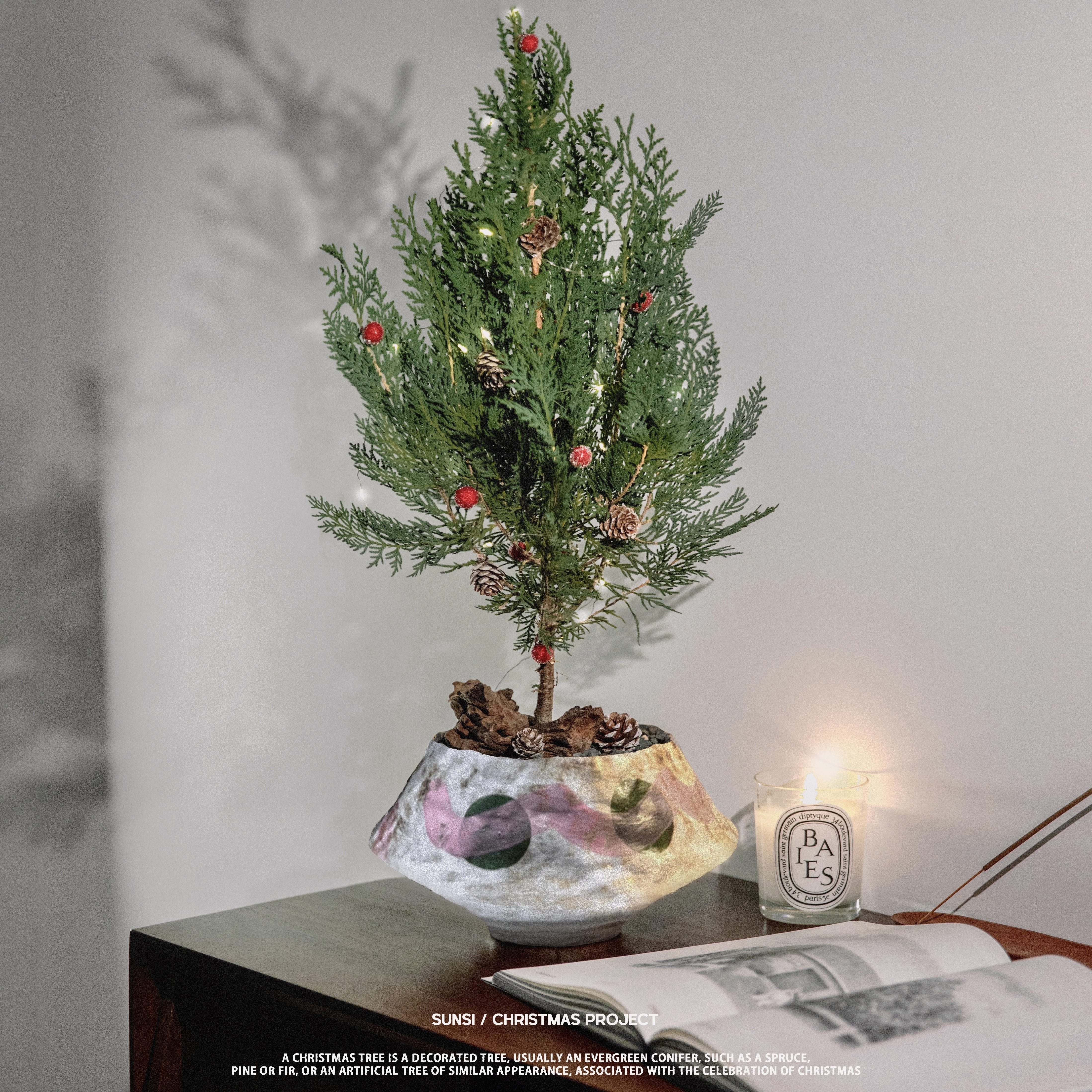 現貨 — B款迷你聖誕松