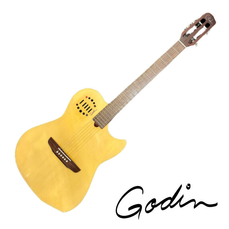 Godin Multiac ST DUET NAT HG 電 民謠吉他 含原廠厚袋