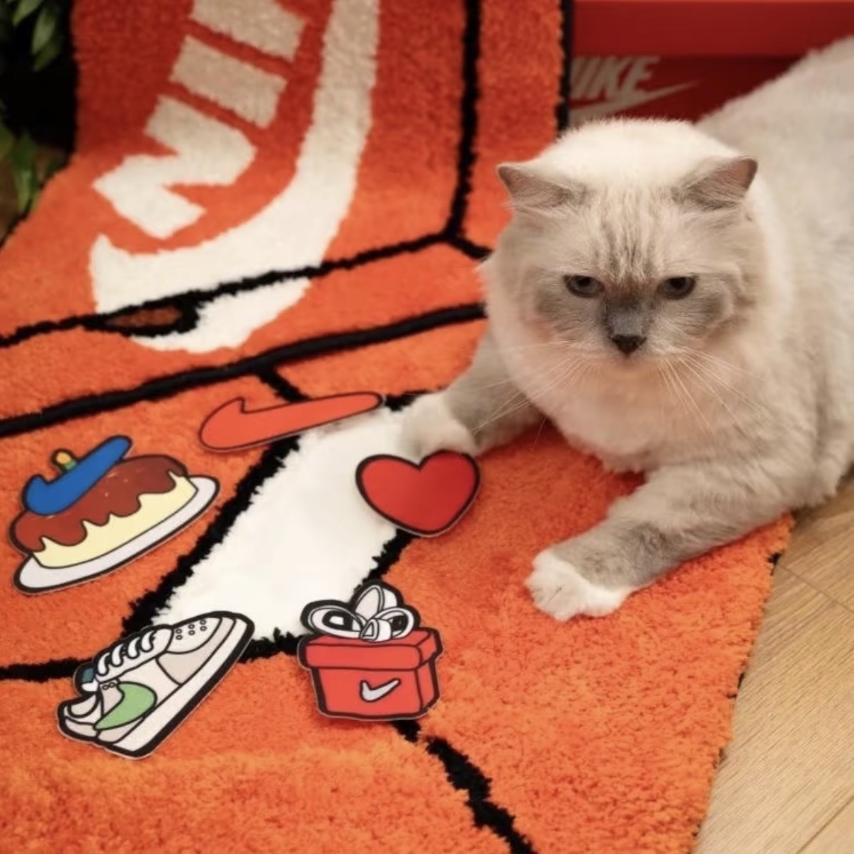 <快速出貨>國外限定 Nike 經典鞋盒 DIY 拼貼 造型 二合一 地毯