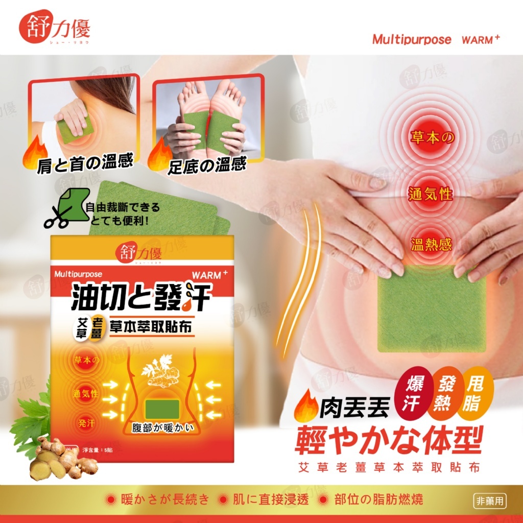 肉丟丟 艾草老薑草本萃取貼布（1套10片）